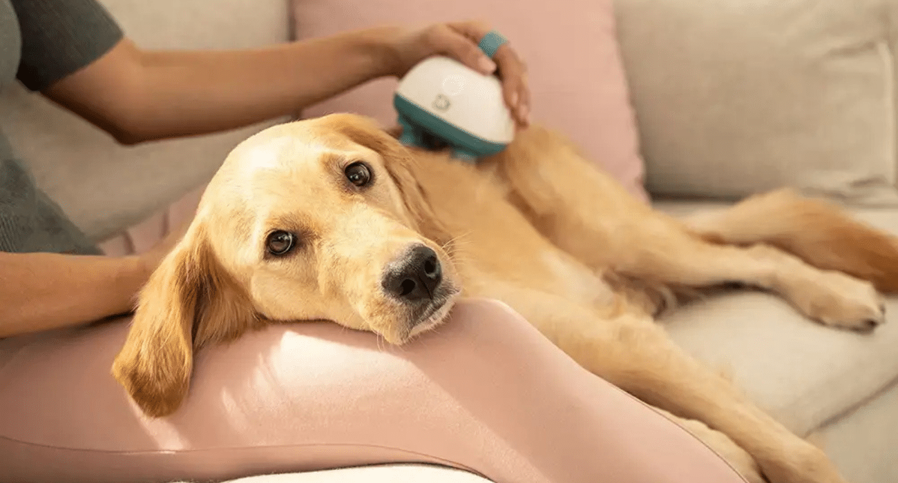 Техника, которая позаботится о домашних питомцах