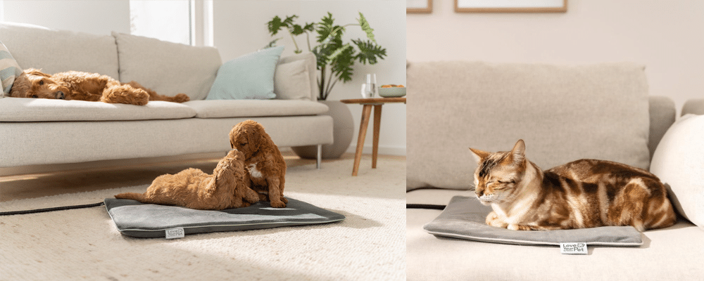 Техника, которая позаботится о домашних питомцах